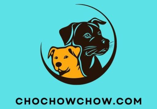 CHOCHOWCHOW.COM